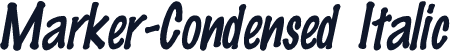 Marker-Condensed Italic