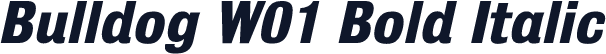 Bulldog W01 Bold Italic