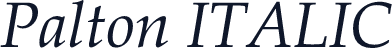 Palton ITALIC