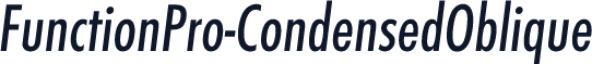 FunctionPro-CondensedOblique