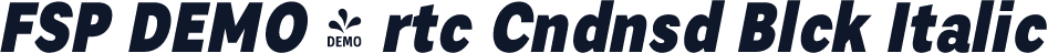 FSP DEMO - rtc Cndnsd Blck Italic