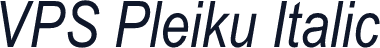 VPS Pleiku Italic