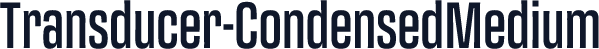 Transducer-CondensedMedium