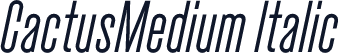 CactusMedium Italic