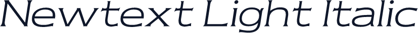 Newtext Light Italic
