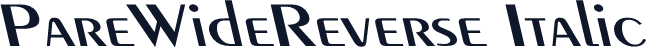 PareWideReverse Italic