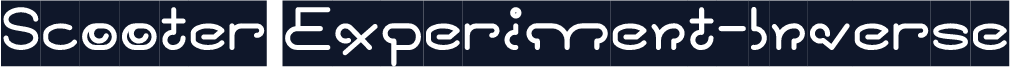 Scooter Experiment-Inverse