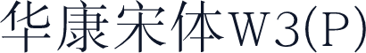 华康宋体W3(P)
