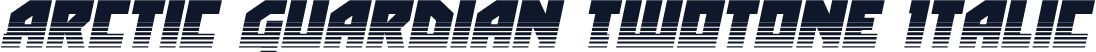 Arctic Guardian Twotone Italic