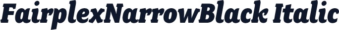 FairplexNarrowBlack Italic
