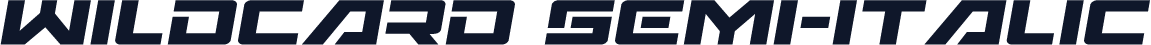 Wildcard Semi-Italic