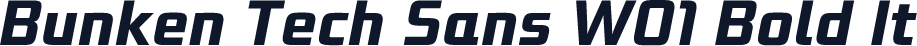 Bunken Tech Sans W01 Bold It