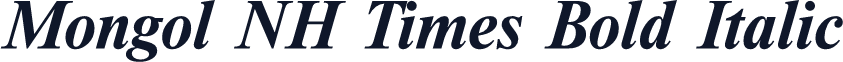 Mongol NH Times Bold Italic