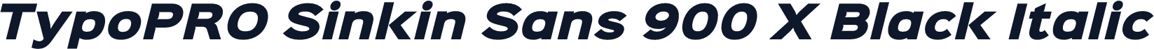 TypoPRO Sinkin Sans 900 X Black Italic