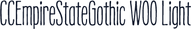 CCEmpireStateGothic W00 Light