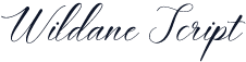 WildaneScript