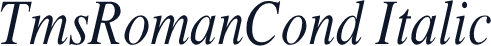 TmsRomanCond Italic