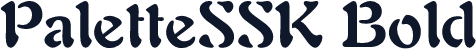 PaletteSSK Bold