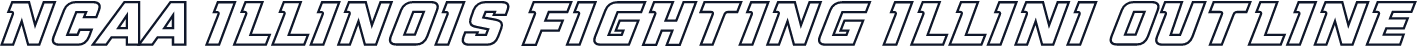 NCAA Illinois Fighting Illini Outline