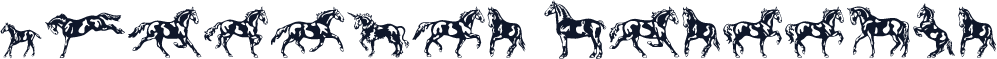 Linotype Dressage