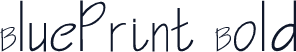 BluePrint Bold