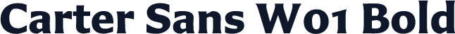 Carter Sans W01 Bold