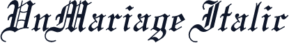 VnMariage Italic
