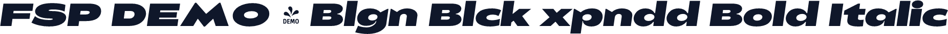 FSP DEMO - Blgn Blck xpndd Bold Italic