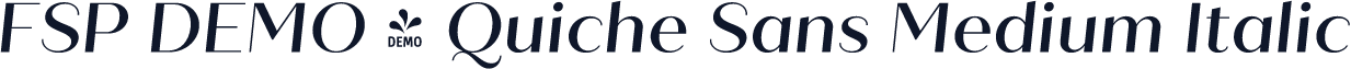 FSP DEMO - Quiche Sans Medium Italic