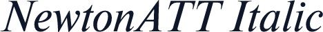 NewtonATT Italic
