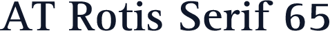AT Rotis Serif 65