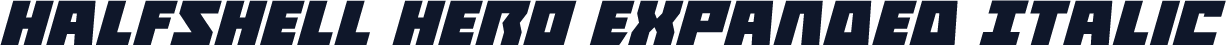 Halfshell Hero Expanded Italic