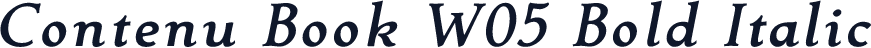 Contenu Book W05 Bold Italic