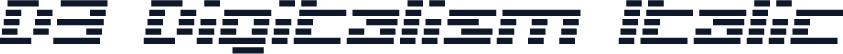 D3 Digitalism Italic