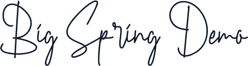 Big Spring Demo