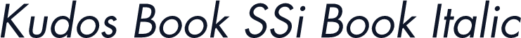 Kudos Book SSi Book Italic