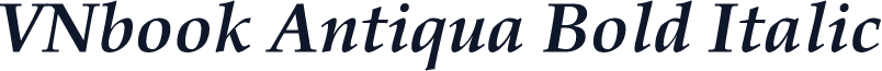 VNbook Antiqua Bold Italic
