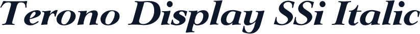 Terono Display SSi Italic