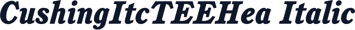 CushingItcTEEHea Italic