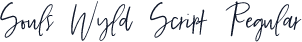 Souls Wyld Script Regular