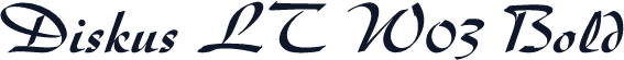 Diskus LT W03 Bold