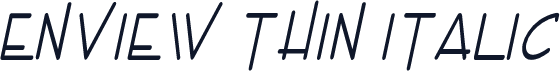 Enview Thin Italic