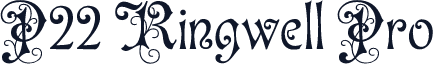 P22 Ringwell Pro