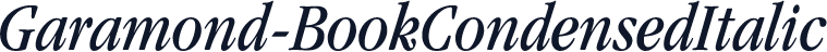 Garamond-BookCondensedItalic