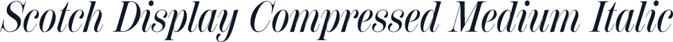 Scotch Display Compressed Medium Italic