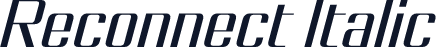 Reconnect Italic