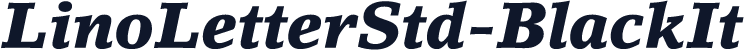 LinoLetterStd-BlackIt