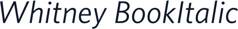 Whitney BookItalic