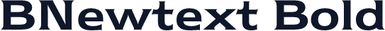 BNewtext Bold