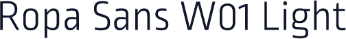 Ropa Sans W01 Light